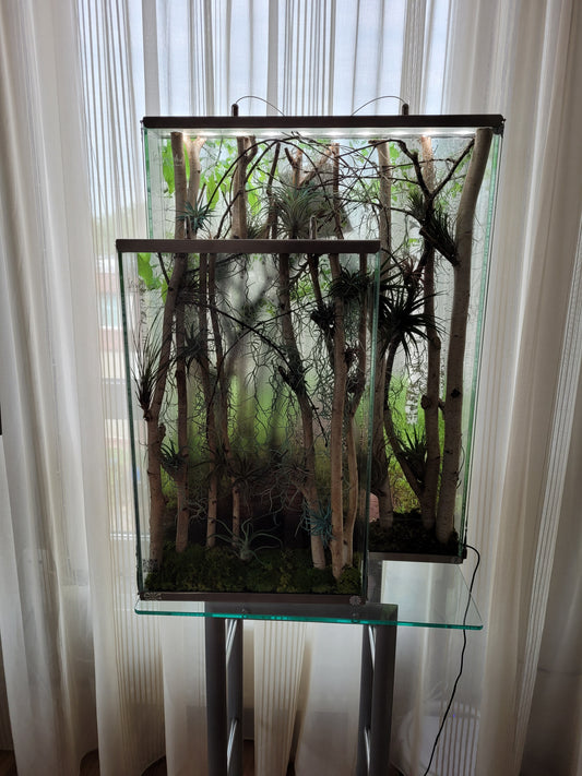 Forest Window Panel No. 1
