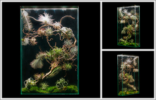 Bloom Art Panel No. 2
