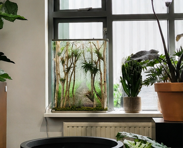 Forest Window Collection