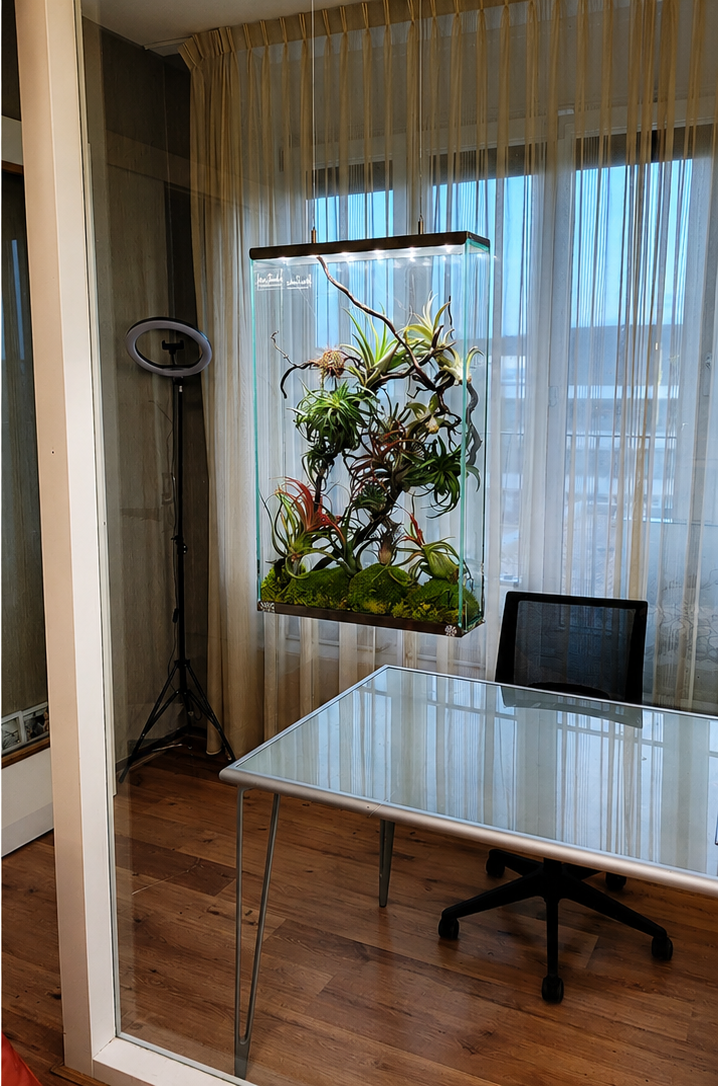 Bloom Art Panel No. 2