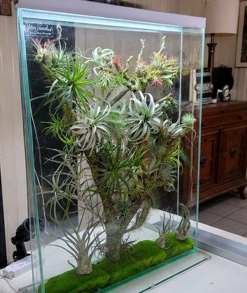 Forest Window Panel No. 3