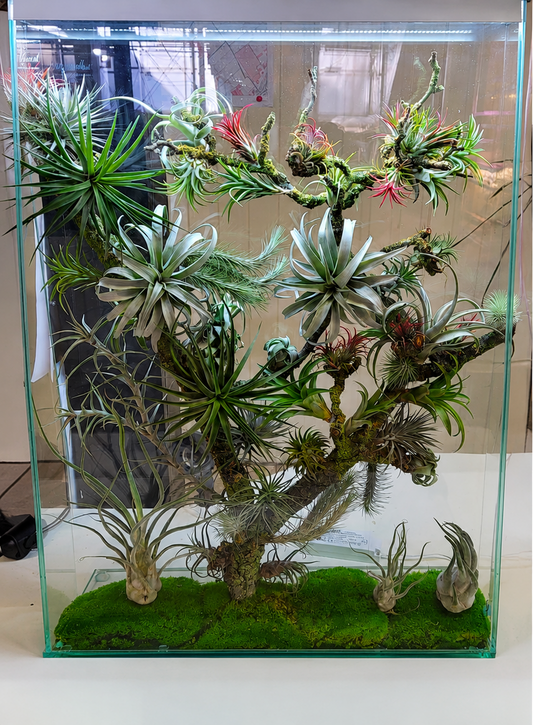 Forest Window Panel No. 3