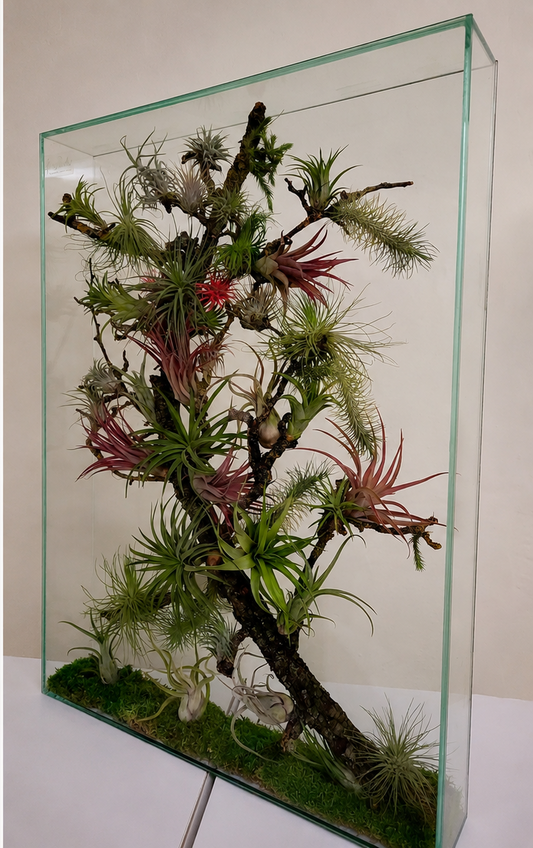 Forest Window Panel No. 4