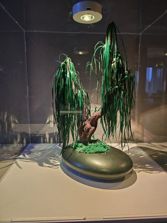 Bonsai Cyperus alternifolius preserved botanical object in luxe acryl kubus met spotlight verlichting