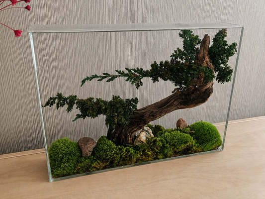 Zen Bonsai Panel No. 2